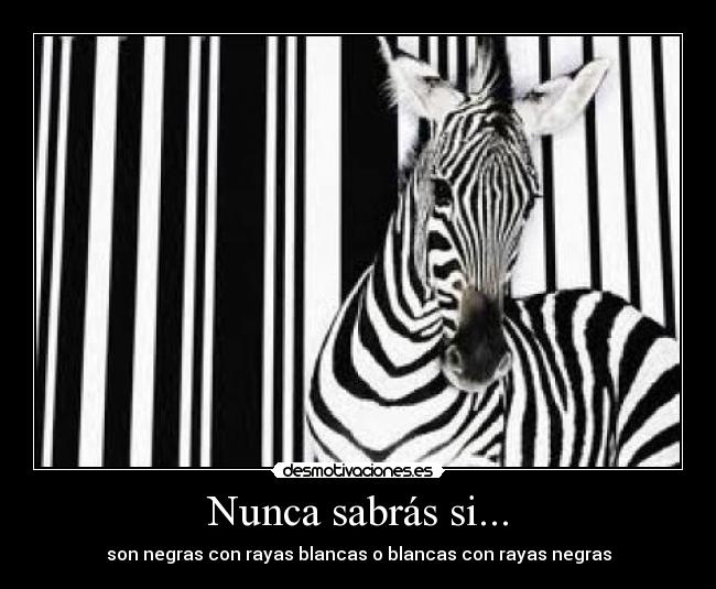 Nunca sabrás si... -