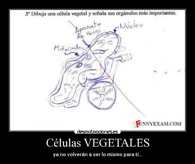 Células VEGETALES - ya no volverán a ser lo mismo para tí...