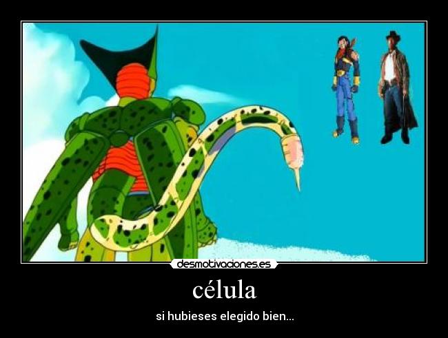 célula - si hubieses elegido bien...