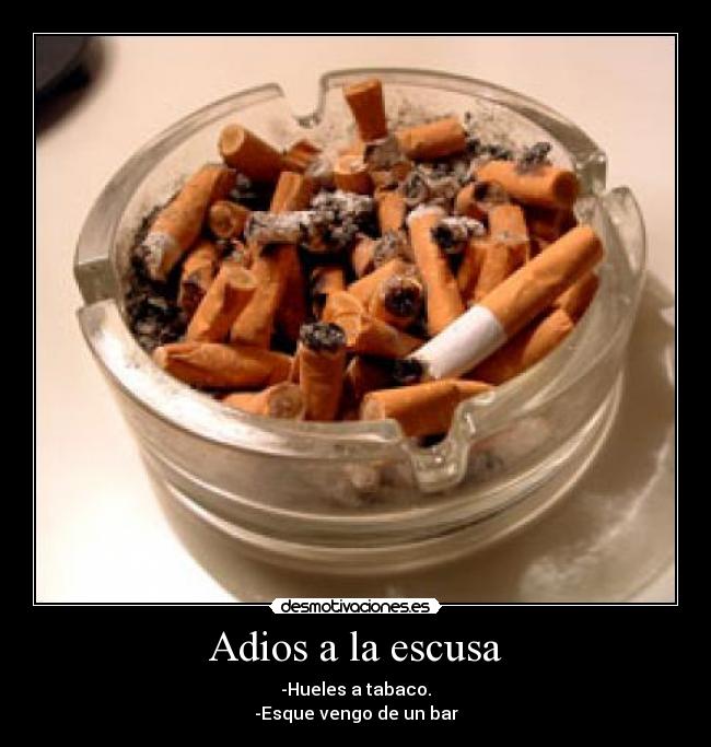 Adios a la escusa - -Hueles a tabaco.
-Esque vengo de un bar