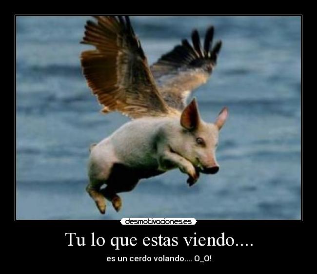 Tu lo que estas viendo.... -