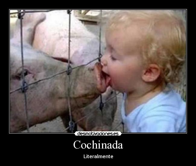 carteles cerdo cochinada desmotivaciones