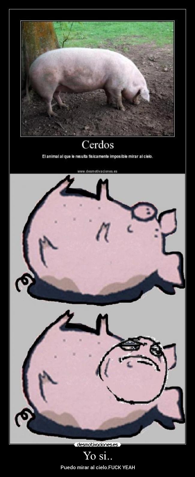 carteles fuck yeah lol problem desmotivaciones cerdos espana mundial gracioso desmotivaciones