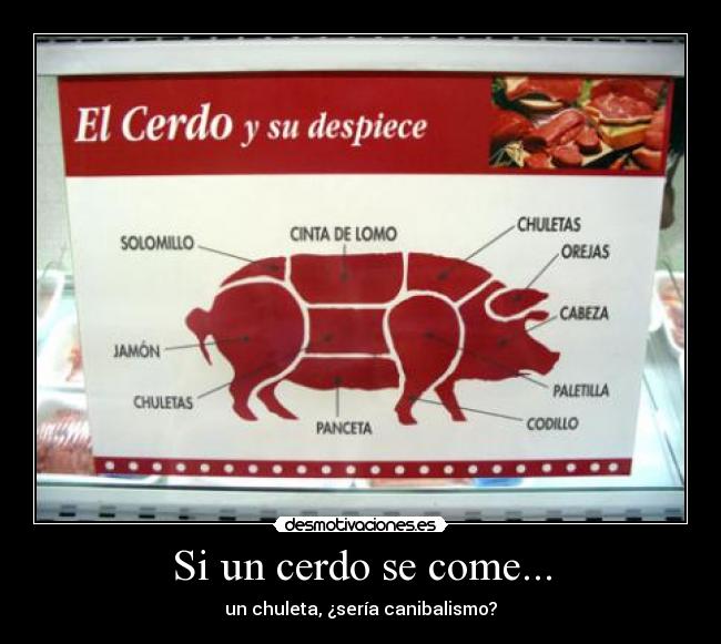 Si un cerdo se come... - 