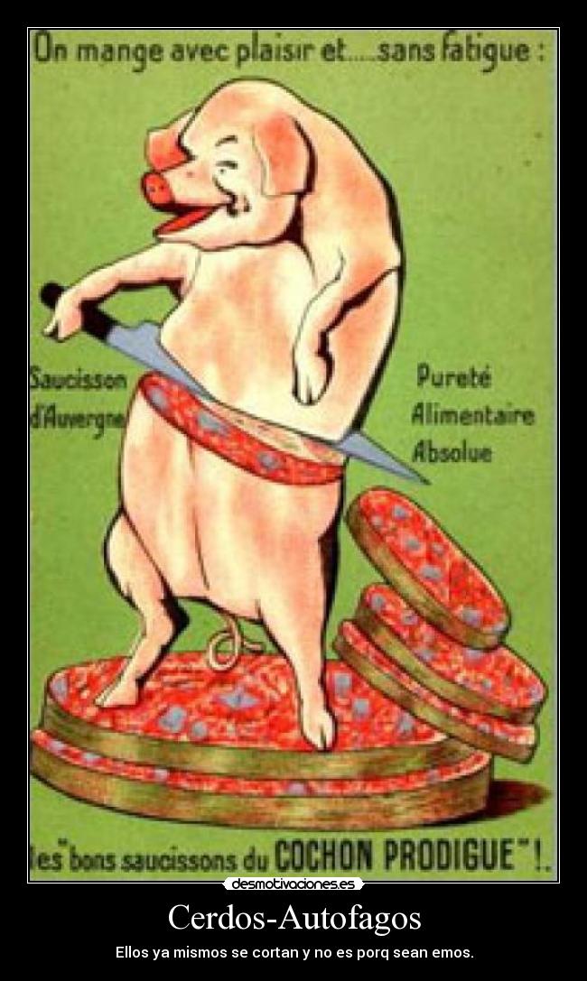 Cerdos-Autofagos -