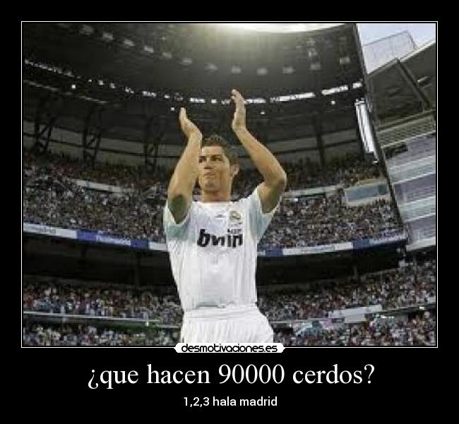 ¿que hacen 90000 cerdos? -