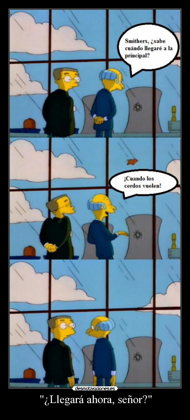 ¿Llegará ahora, señor? - 