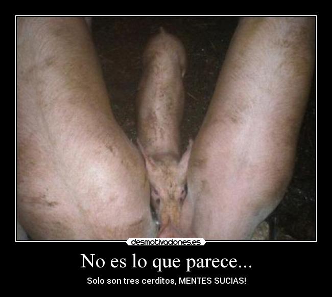No es lo que parece... - 