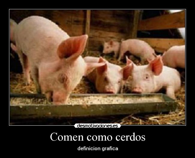 Comen como cerdos - 