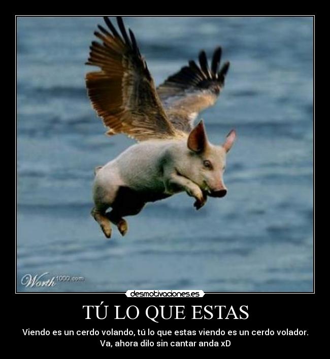 carteles cerdo volador desmotivaciones