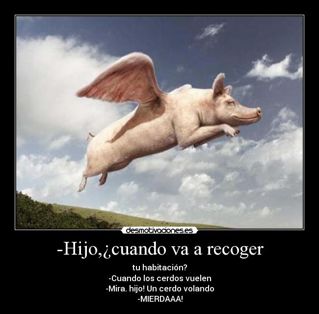 carteles cerdo volando desmotivaciones