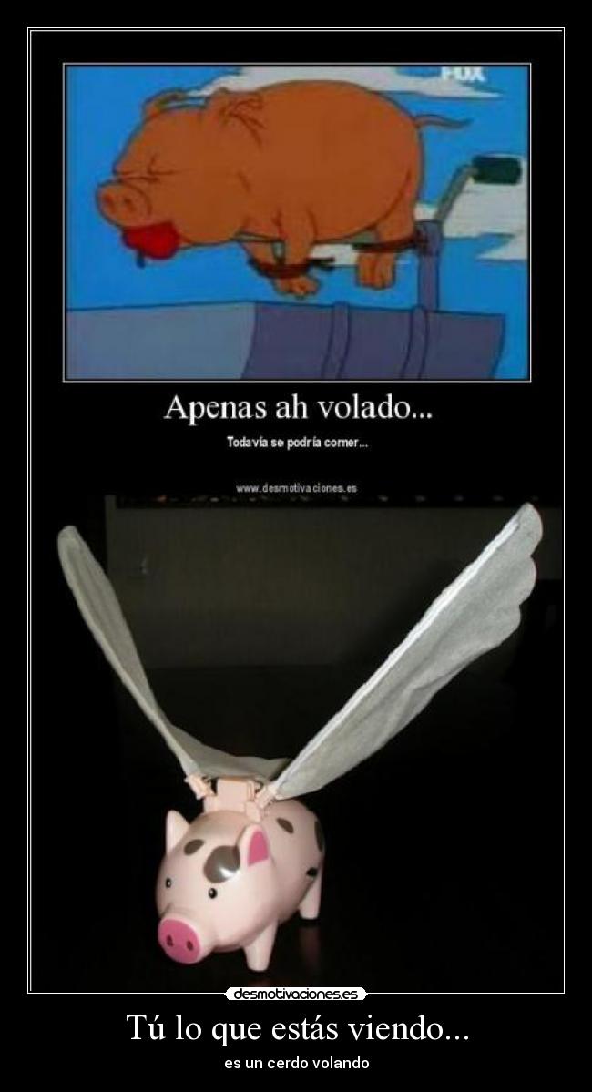 Tú lo que estás viendo... -