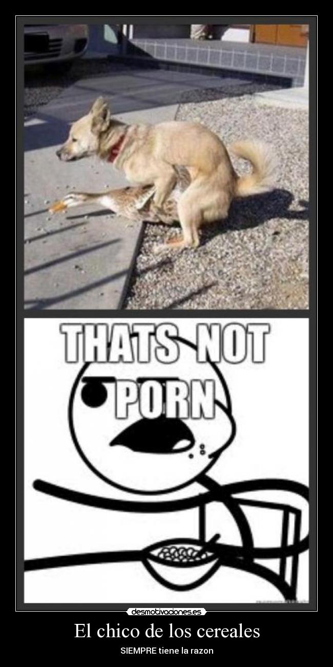 El chico de los cereales -