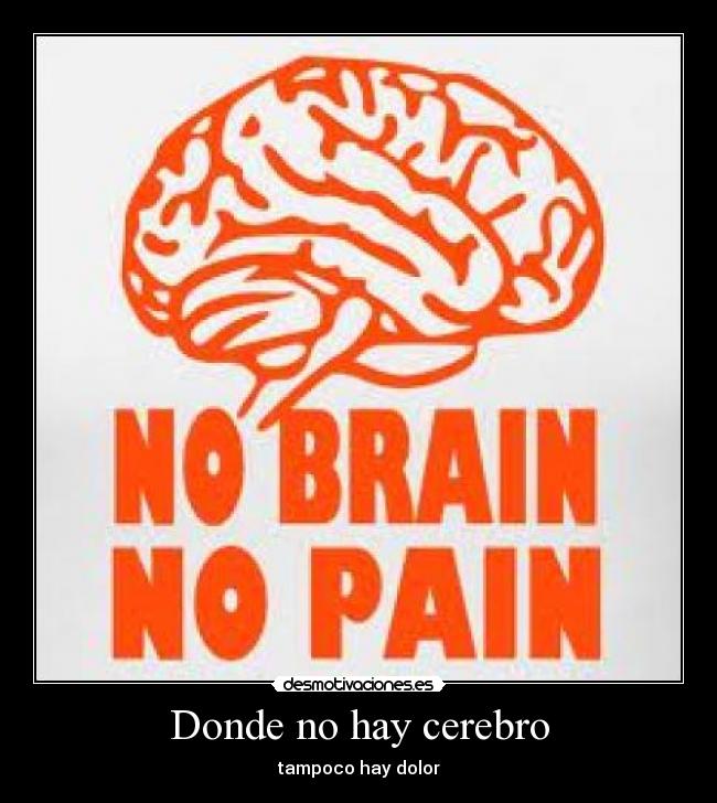Donde no hay cerebro -