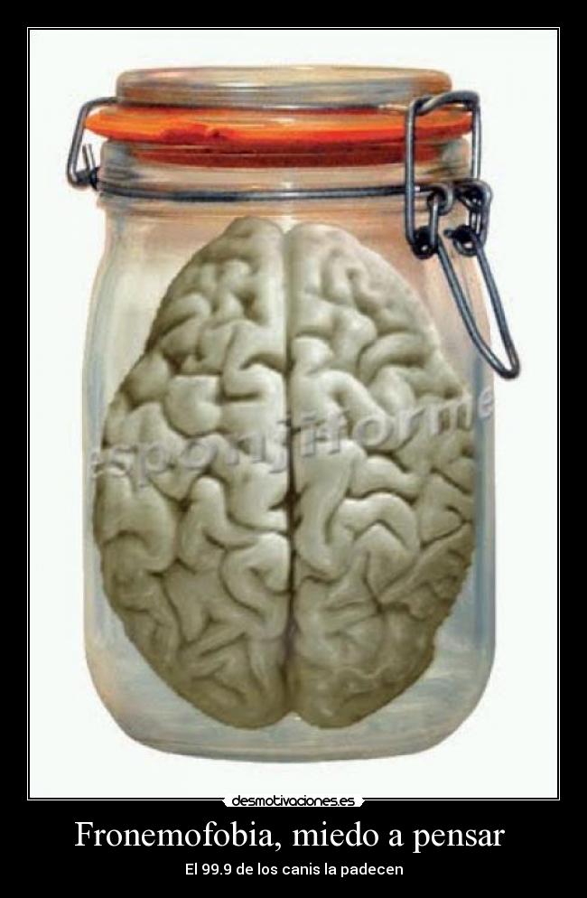 Fronemofobia, miedo a pensar  - El 99.9 de los canis la padecen