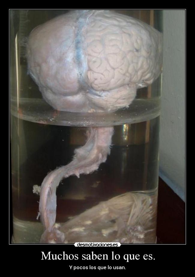 Muchos saben lo que es. - 