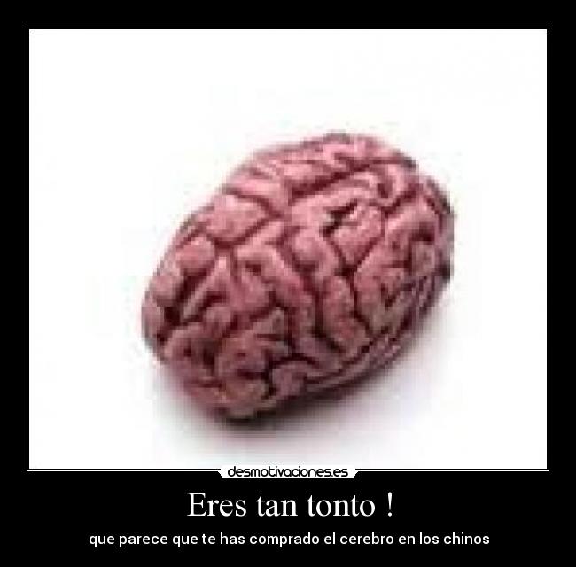 Eres tan tonto ! - 