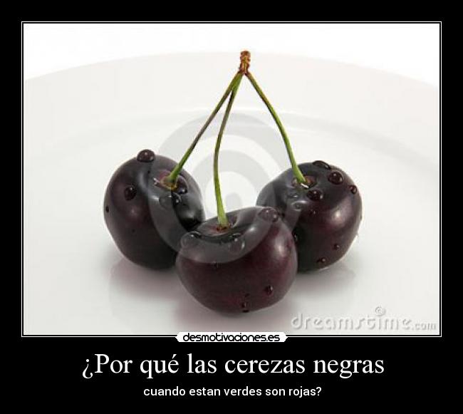 ¿Por qué las cerezas negras - cuando estan verdes son rojas?