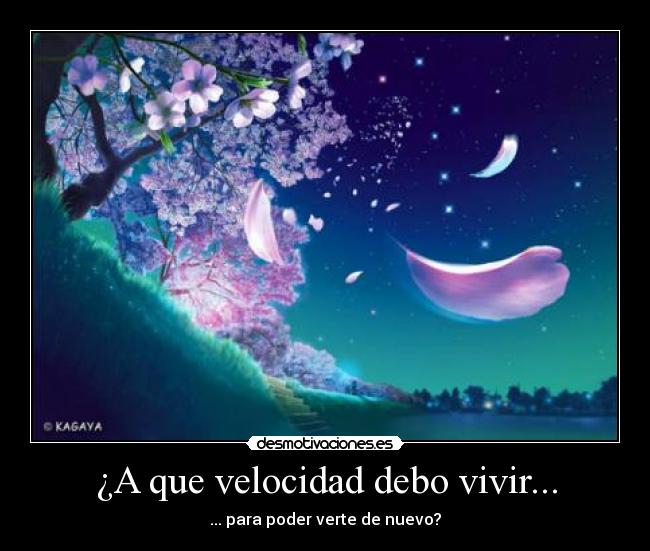 ¿A que velocidad debo vivir... -