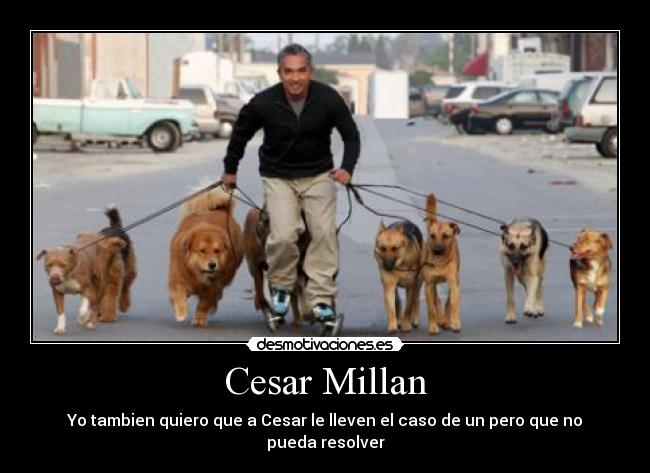 Cesar Millan - Yo tambien quiero que a Cesar le lleven el caso de un pero que no pueda resolver