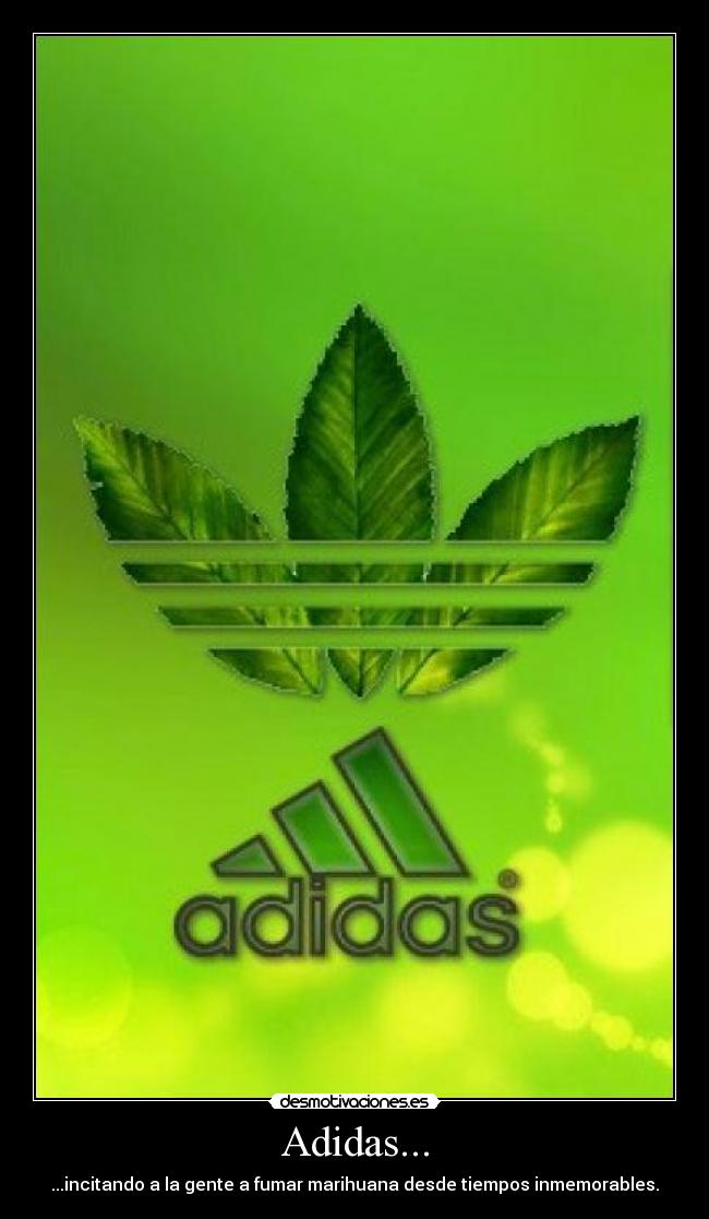 Adidas... - 