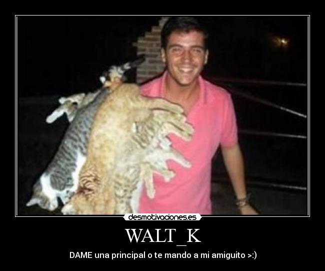 WALT_K -