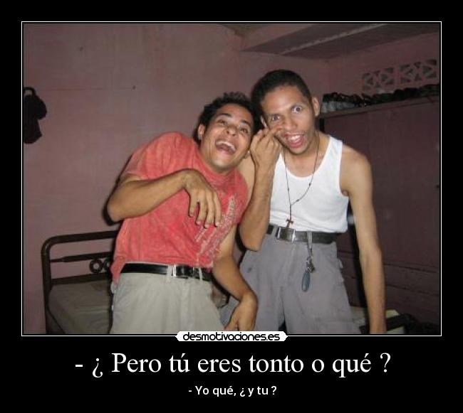 - ¿ Pero tú eres tonto o qué ? - - Yo qué, ¿ y tu ?
