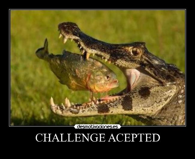 CHALLENGE ACEPTED - 