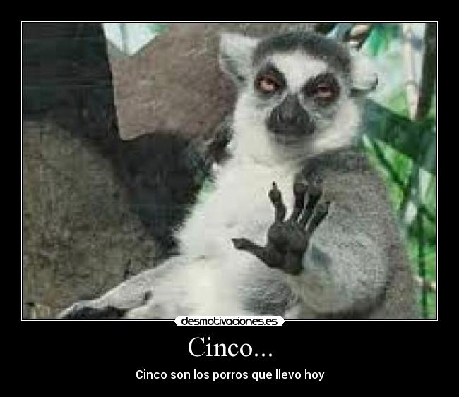 Cinco... - 