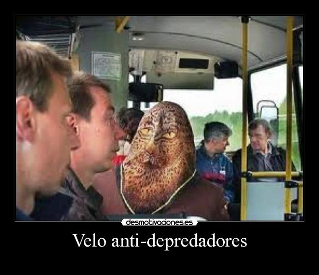 Velo anti-depredadores - 