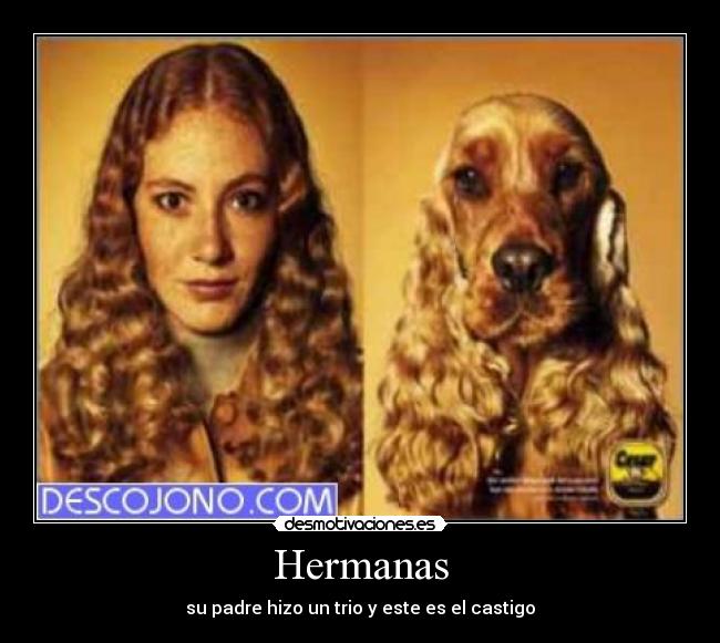 carteles desmotivaciones