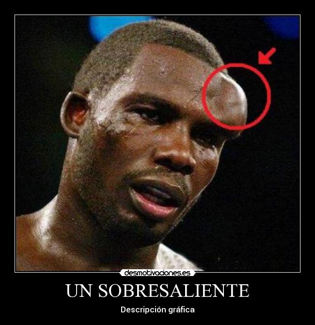 UN SOBRESALIENTE - Descripción gráfica