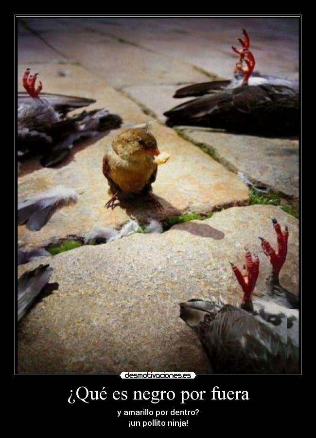 ¿Qué es negro por fuera - y amarillo por dentro?
¡un pollito ninja!