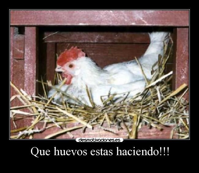 carteles oo desmotivaciones