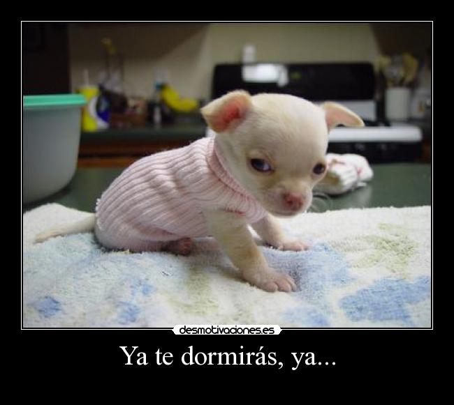 Ya te dormirás, ya... -
