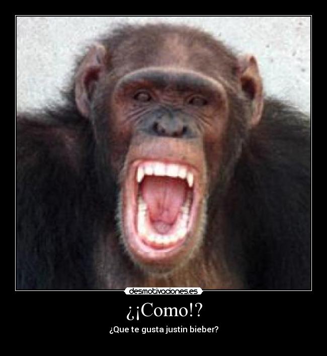 ¿¡Como!? - ¿Que te gusta justin bieber?