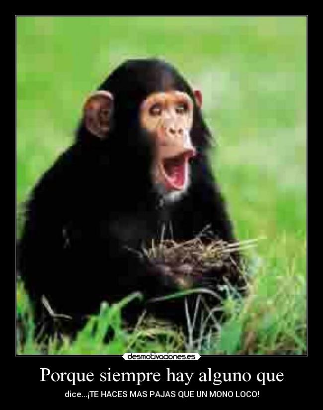 Porque siempre hay alguno que - dice...¡TE HACES MAS PAJAS QUE UN MONO LOCO!