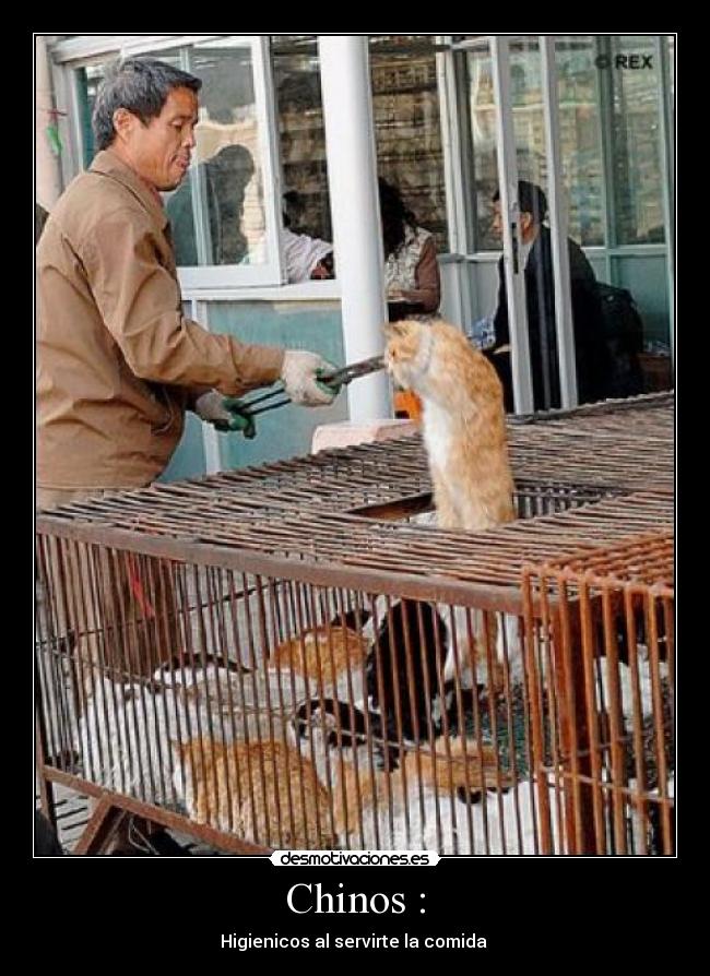 Chinos : - Higienicos al servirte la comida
