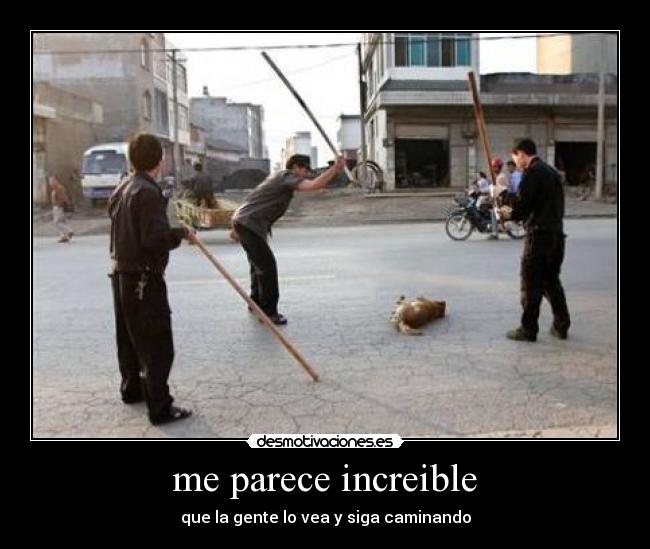  me parece increible  - que la gente lo vea y siga caminando