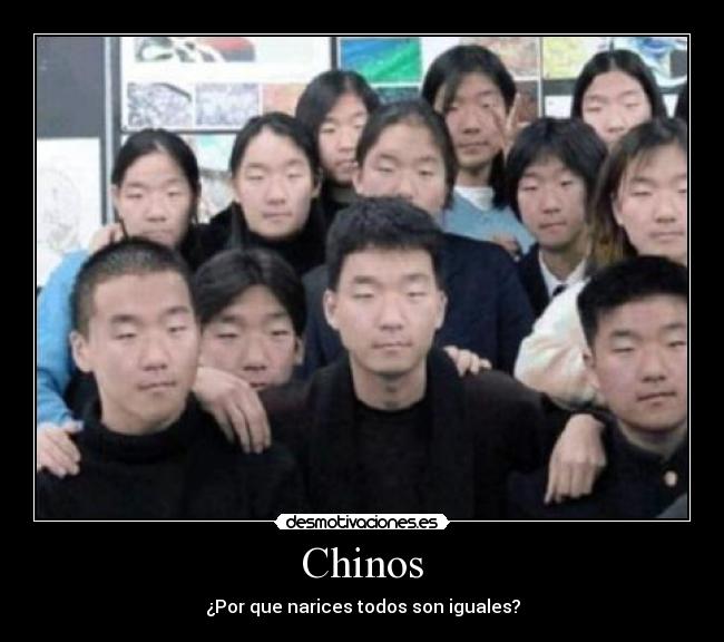 Chinos - 