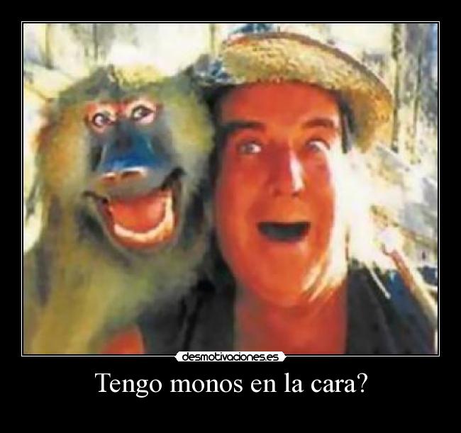 Tengo monos en la cara? -