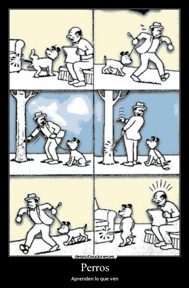 Perros -