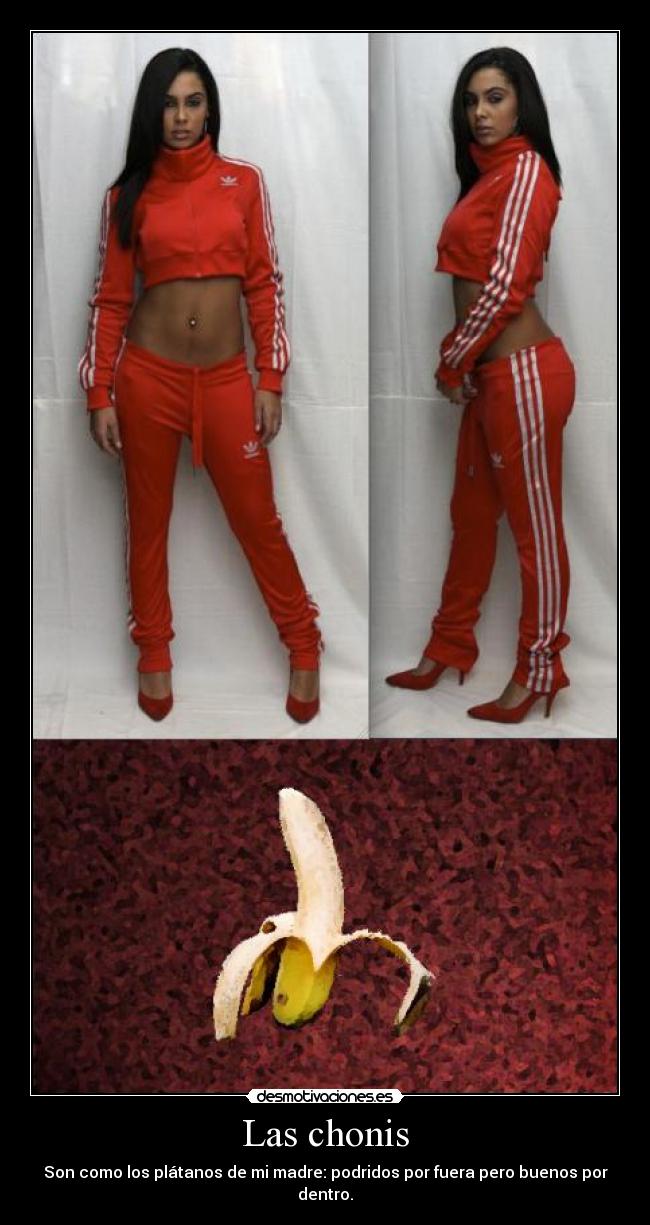 carteles chonis canis platano podrido por fuera bueno por dentro desmotivaciones