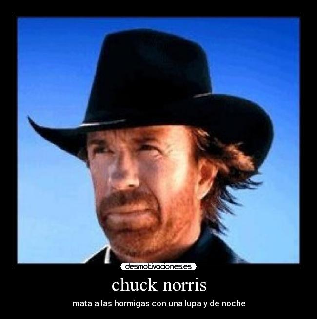 chuck norris -