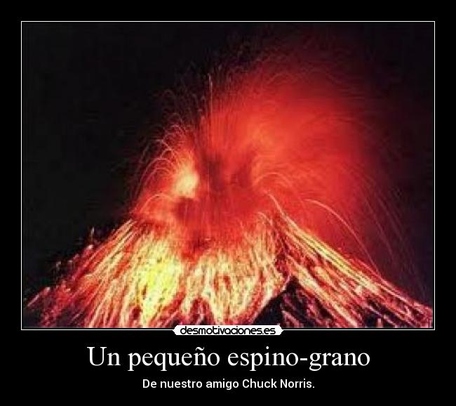 Un pequeño espino-grano - De nuestro amigo Chuck Norris.