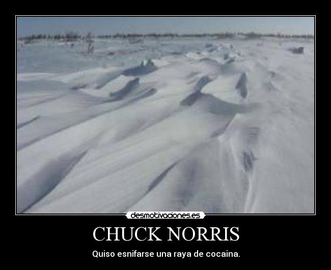 CHUCK NORRIS -