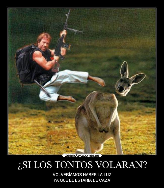 ¿SI LOS TONTOS VOLARAN? -