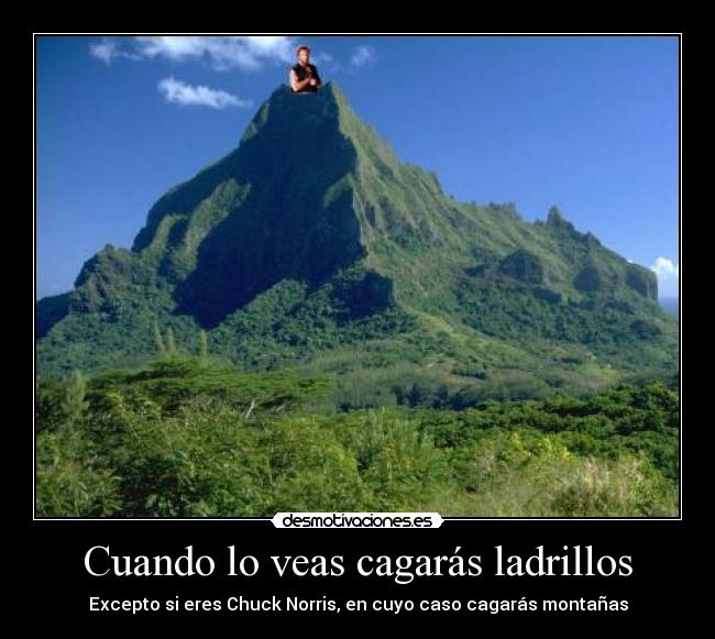 Cuando lo veas cagarás ladrillos -