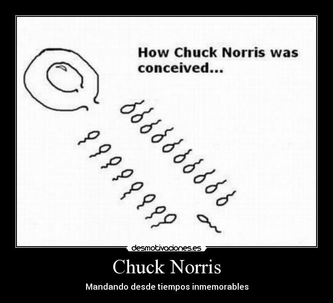 Chuck Norris -