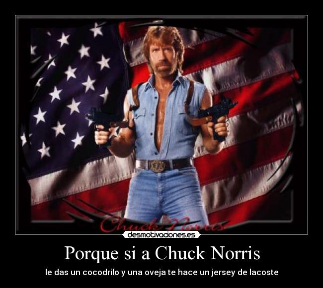 Porque si a Chuck Norris - le das un cocodrilo y una oveja te hace un jersey de lacoste